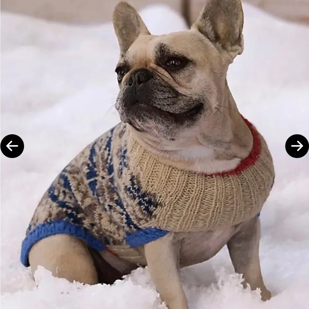 French Knot Free People New Medium Knit Patterned Dog Sweater